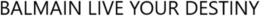 BALMAIN LIVE YOUR DESTINY trademark