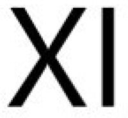 XI trademark
