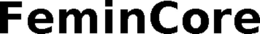FEMINCORE trademark