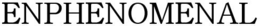 ENPHENOMENAL trademark