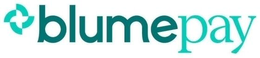 BLUMEPAY trademark
