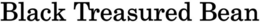 BLACK TREASURED BEAN trademark