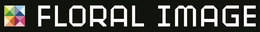 FLORAL IMAGE trademark