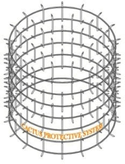 CACTUS PROTECTIVE SYSTEM trademark