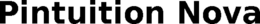 PINTUITION NOVA trademark
