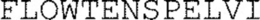 FLOWTENSPELVI trademark
