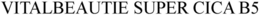VITALBEAUTIE SUPER CICA B5 trademark