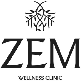 ZEM WELLNESS CLINIC trademark