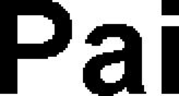 PAI trademark