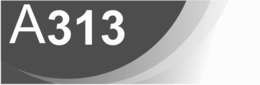 A313 trademark