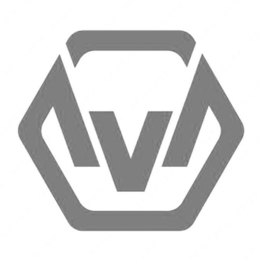 V trademark