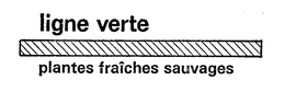 LIGNE VERTE (PLUS OTHER NOTATIONS) trademark