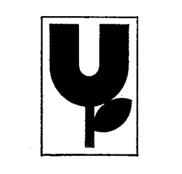 U trademark