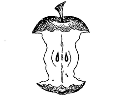 APPLE trademark