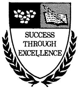 SUCCESS THROUGH EXCELLENCES trademark