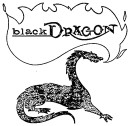 BLACK DRAGON trademark