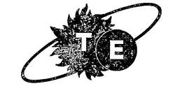 TE trademark