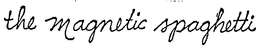 THE MAGNETIC SPAGHETTI trademark