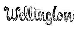 WELLINGTON trademark
