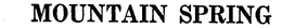 MOUNTAIN SPRING trademark