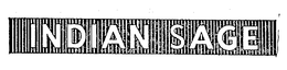 INDIAN SAGE trademark