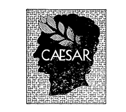 CAESAR trademark