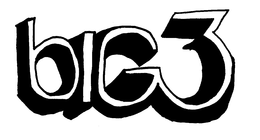 THE BIG 3 trademark