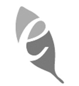 E trademark