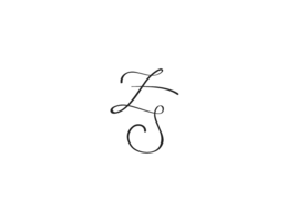 ZS trademark