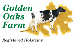 GOLDEN OAKS FARM REGISTERED HOLSTEINS trademark