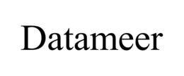 DATAMEER trademark