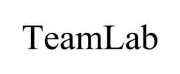 TEAMLAB trademark