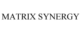 MATRIX SYNERGY trademark