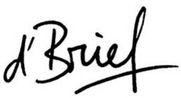 D' BRIEF trademark