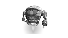 STS trademark