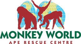 MONKEY WORLD APE RESCUE CENTRE trademark