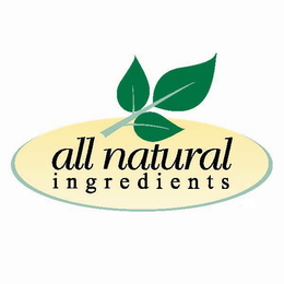 ALL NATURAL INGREDIENTS trademark