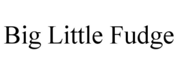 BIG LITTLE FUDGE trademark