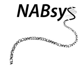 NABSYS ACTGATCCGATCTTACTGAGATAAACTGAACTGAAATTCCGATCCGAATCTCAAGATAGATACTA trademark