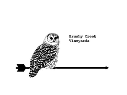 BRUSHY CREEK VINEYARDS trademark