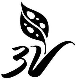 3V trademark
