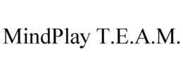 MINDPLAY T.E.A.M. trademark