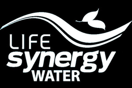 LIFE SYNERGY WATER trademark