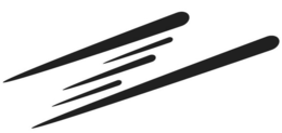 Z trademark