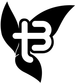 T3 trademark