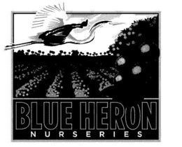 BLUE HERON NURSERIES trademark