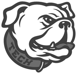 TECH trademark