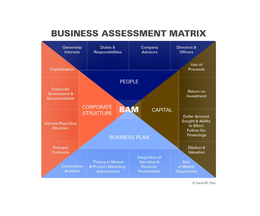 BUSINESS ASSESSMENT MATRIX (BAM) PEOPLE CAPITAL BUSINESS PLAN CORPORATE STRUCTURE OWNERSHIP INTERESTS DUTIES & RESPONSIBILITIES COMPANY ADVISORS DIRECTORS & OFFICERS USE OF PROCEEDS RETURN ON INVESTMENT DOLLAR AMOUNT SOUGHT & ABILITY TO EFFECT FOLLOW-ON FINANCINGS DILUTION & VALUATION SIZE OF MARKET OPPORTUNITY INTEGRATION OF NARRATIVE & FINANCIAL PRESENTATION TIMING TO MARKET & PRODUCT MARKETING ASSUMPTIONS COMPETITIVE ANALYSIS PRINCIPAL CONTRACTS INTERNAL REPORTING STRUCTURE CORPORATE GOVERNANCE & DOCUMENTATION CAPITALIZATION trademark