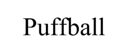 PUFFBALL trademark