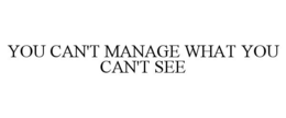 YOU CAN'T MANAGE WHAT YOU CAN'T SEE trademark